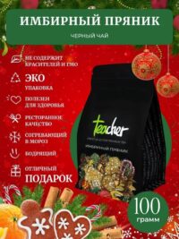 TEACHER Имбирный пряник 100 гр.