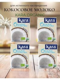 KARA Молоко кокосовое Organic Тетра Пак 17% 200мл.